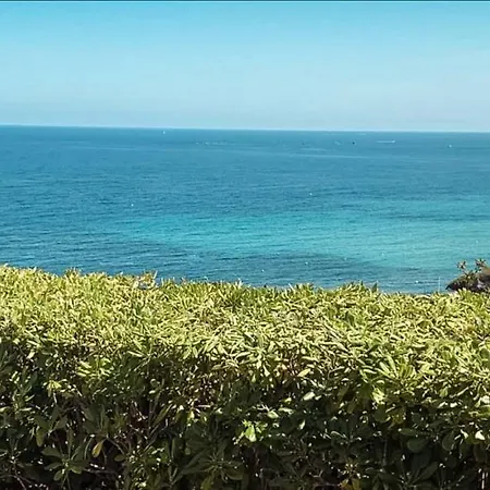 Pura Vida