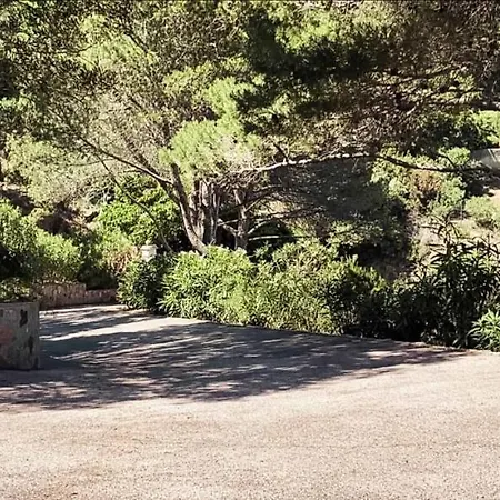Pura Vida * סן-מקסים